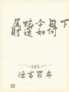 属蛇今日下午偏财运如何