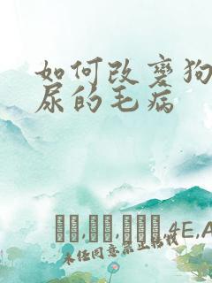 如何改变狗狗乱尿的毛病