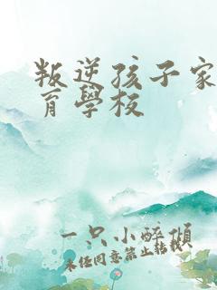 叛逆孩子家庭教育学校