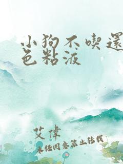 小狗不吃还吐白色粘液