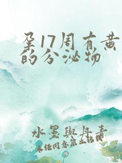 孕17周有黄黄的分泌物