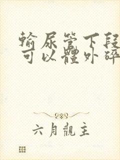 输尿管下段结石可以体外碎石能排出来吗