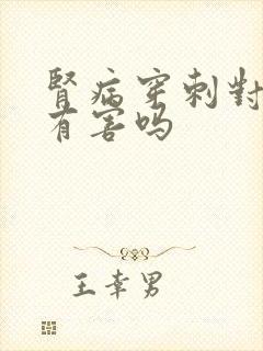 肾病穿刺对身体有害吗