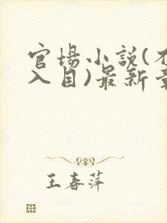 官场小说(不堪入目)最新章节