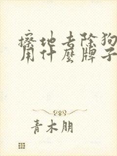 擦地去除狗尿味用什么牌子好