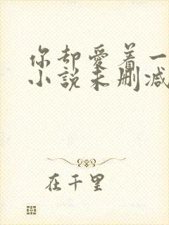 你却爱着一个他小说未删减版