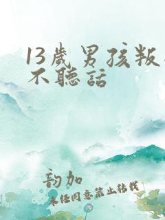 13岁男孩叛逆不听话