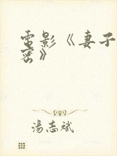 电影《妻子的秘密》