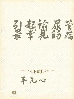 引起输尿管梗阻最常见的病因为