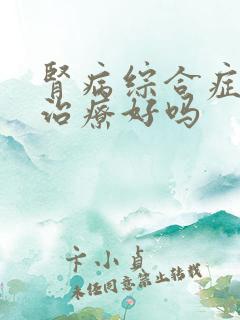 肾病综合症能够治疗好吗