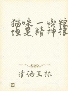 猫咪一吃粮就吐但是精神很好