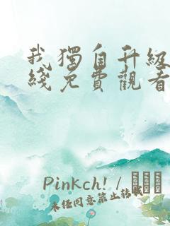 我独自升级2在线免费观看