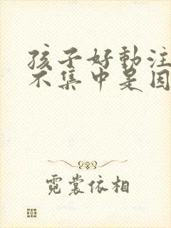 孩子好动注意力不集中是因为什么