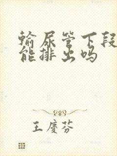 输尿管下段结石能排出吗