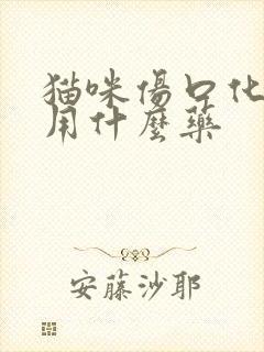 猫咪伤口化脓了用什么药