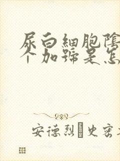 尿白细胞阴性一个加号是怎么回事