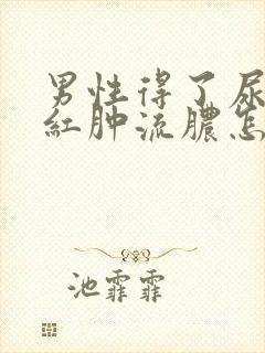 男性得了尿道口红肿流脓怎么治