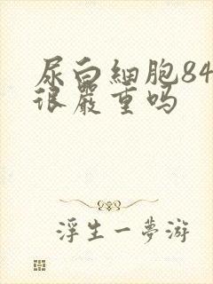 尿白细胞84是很严重吗