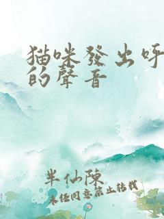 猫咪发出呼噜噜的声音