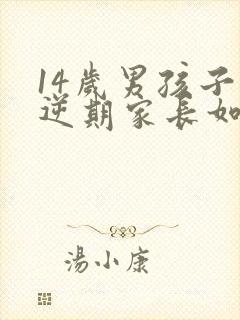 14岁男孩子叛逆期家长如何管教