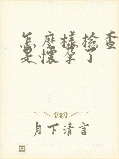 怎么样检查是不是怀孕了