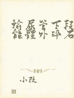 输尿管下段结石能体外碎石么