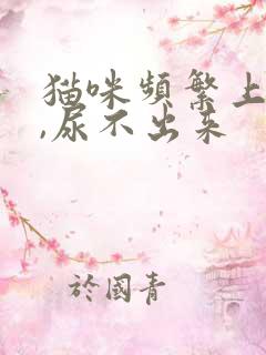 猫咪频繁上厕所,尿不出来