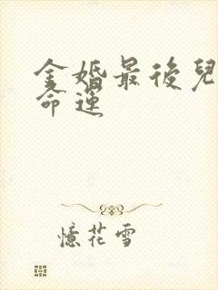 金婚最后儿子的命运