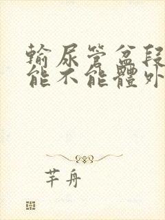 输尿管盆段结石能不能体外碎石