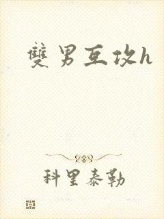 双男互攻h