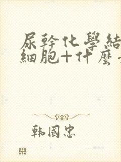 尿干化学结果白细胞+什么意思