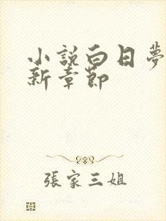 小说白日梦我最新章节