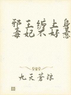 邪王缠上身神医毒妃不好惹大结局