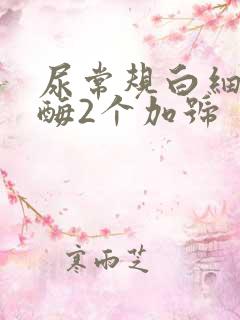 尿常规白细胞酯酶2个加号