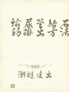 输尿管结石最快的排出方法3d演示