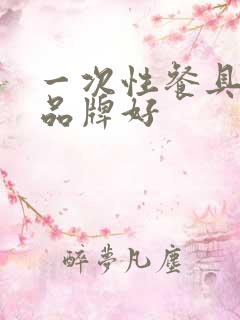 一次性餐具哪个品牌好