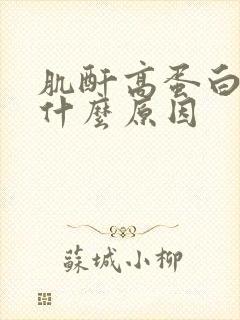 肌酐高蛋白尿是什么原因