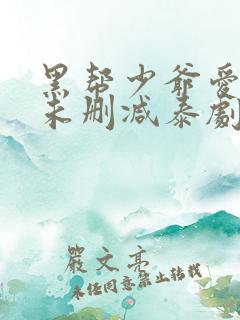 黑帮少爷爱上我未删减泰剧