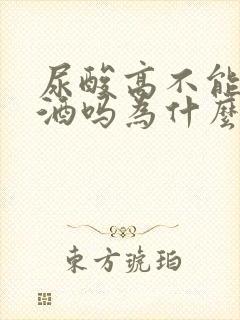 尿酸高不能喝啤酒吗为什么