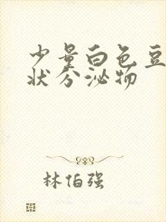 少量白色豆腐渣状分泌物