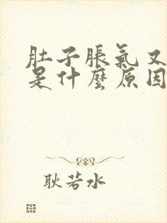 肚子胀气又放屁是什么原因