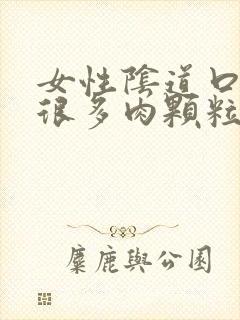 女性阴道口长了很多肉颗粒