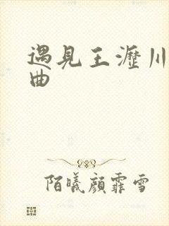 遇见王沥川片尾曲