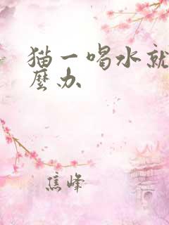 猫一喝水就吐怎么办