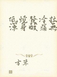 低烧发冷拉肚子浑身酸痛无力