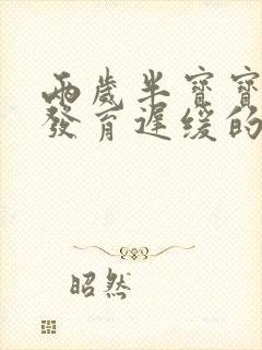 两岁半宝宝语言发育迟缓的表现