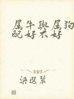 属牛与属狗的婚配好不好