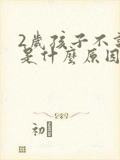 2岁孩子不说话是什么原因引起的