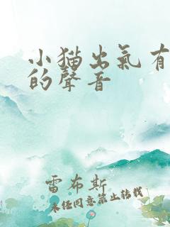 小猫出气有呼呼的声音