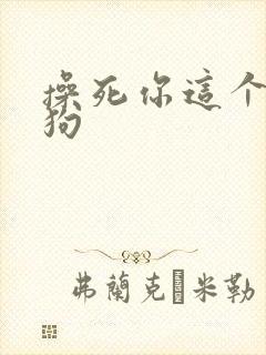 操死你这个骚母狗